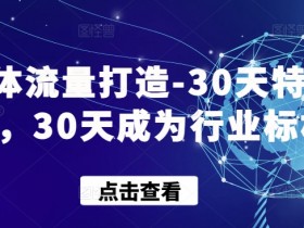 实体流量打造-30天特训营，30天成为行业标杆