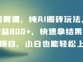 冷门赛道，纯AI搬砖玩法，单日收益800+，快速拿结果，长期项目，小白也能轻松上手【揭秘】