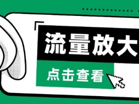 流量放大器，抖音公私域变现+soul私域轰炸器【揭秘】