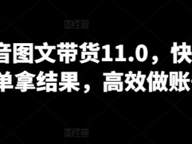 抖音图文带货11.0，快速出单拿结果，高效做账号