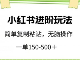 小红书进阶玩法，一单150-500+，简单复制粘贴，小白也能轻松上手【揭秘】