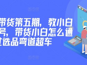 价值2980短视频带货第五期，教小白如何起号，带货小白怎么通过选品弯道超车