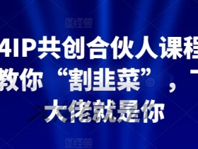 2024IP共创合伙人课程，手把手教你“割韭菜”，下一个大佬就是你