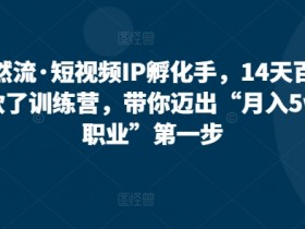 自然流·短视频IP孵化手，14天百万爆款了训练营，带你迈出“月入5w新职业”第一步