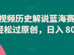 中视频历史解说蓝海赛道，轻松过原创，日入 800+【揭秘】