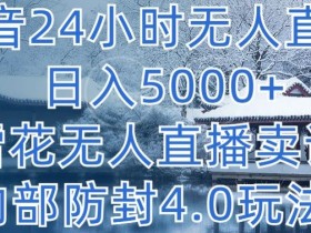 抖音24小时无人直播 日入5000+，雪花无人直播卖课，内部防封4.0玩法【揭秘】