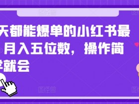 2024天天都能爆单的小红书最新玩法，月入五位数，操作简单，一学就会【揭秘】