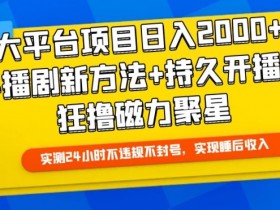 大平台项目日入2000+，快手播剧新方法+持久开播技术，狂撸磁力聚星【揭秘】