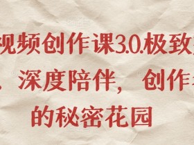 短视频创作课3.0.极致交付、深度陪伴，创作者的秘密花园