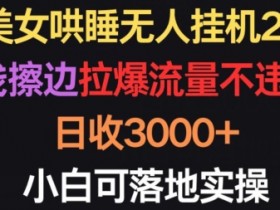 美女哄睡无人挂机2.0.浅擦边拉爆流量不违规，日收3000+，小白可落地实操【揭秘】