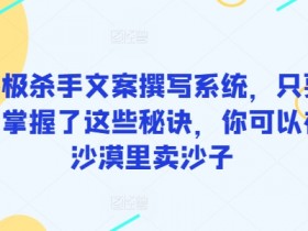 终极杀手文案撰写系统，只要你掌握了这些秘诀，你可以在沙漠里卖沙子