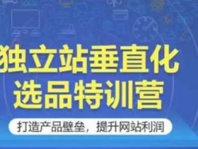 独立站垂直化选品特训营，打造产品壁垒，提升网站利润