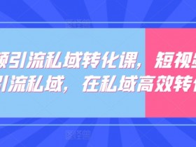 短视频引流私域转化课，短视频精准引流私域，在私域高效转化