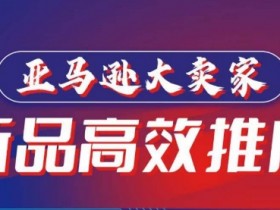 亚马逊大卖家-新品高效推广，​分享如何高效推广，打造百万美金爆款单品