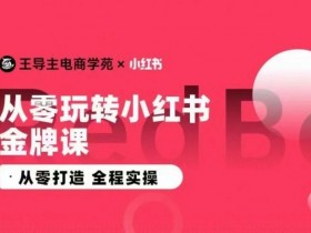 王导主·小红书电商运营实操课，​从零打造  全程实操