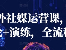 海外社媒运营课，理论+演练，全流程