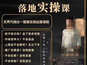 老肥电商·2024淘系运营从0-1落地实操课，无界万相台一整套实操运营课程