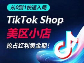 从0到1快速入局TikTok美区小店，快速抢占流量黄金期，开启日出千单之旅