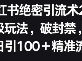 小红书绝密引流术2.0升级玩法，破封禁，轻松日引100+精准流量【揭秘】