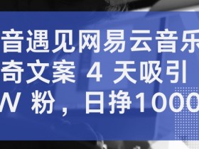 抖音遇见网易云音乐，新奇文案 4 天吸引 5W 粉，日挣1000+【揭秘】