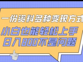一份资料多种变现方式，小白也能轻松上手，日入800不是问题【揭秘】