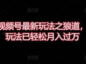 微信视频号最新玩法之狼道，目前玩法已轻松月入过万【揭秘】
