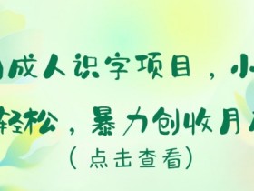 冷门成人识字项目，小白上手轻松，暴力创收月入5w+【揭秘】
