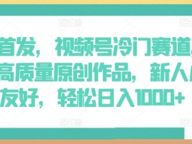 全网首发，视频号冷门赛道，AI制作高质量原创作品，新人小白友好，轻松日入1000+【揭秘】