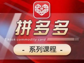 2024拼多多系列课，【基础】【运营】【活动】【推广】【玩法】5大模块