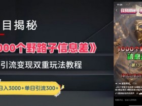 一千个野路子信息差最新玩法教程-变现+引流的玩法具体拆解【揭秘】