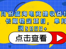 4月份蓝海电商撸收益技术，长期稳定项目，单月利润5000+【揭秘】