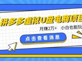 拼多多虚拟U盘电商红利项目：月赚2万+，新手小白也能玩