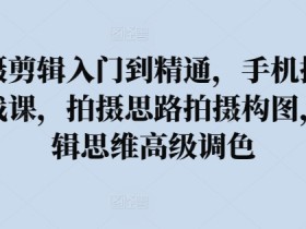 拍摄剪辑入门到精通，​手机摄影实战课，拍摄思路拍摄构图，剪辑思维高级调色