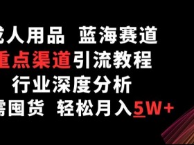 成人用品，蓝海赛道，重点渠道引流教程，行业深度分析，无需囤货，轻松月入5W+【揭秘】