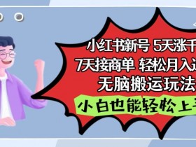 小红书影视泥巴追剧5天涨千粉，7天接商单，轻松月入过万，无脑搬运玩法【揭秘】