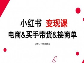 2024年最新小红书变现课，电商&买手带货&接商单，从0到1，小白高效轻创业