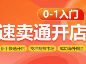 速卖通开店0-1入门，新手快速开店 找准商机市场 成功海外掘金