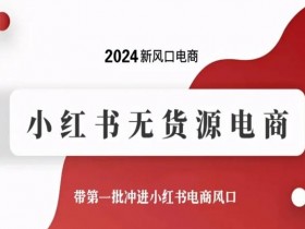 2024新风口电商，小红书无货源电商，带第一批冲进小红书电商风口