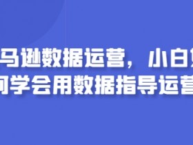 亚马逊数据运营，小白如何学会用数据指导运营