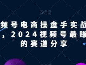 视频号电商实战教程，2024视频号最赚钱的赛道分享