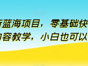 全新蓝海项目，零基础快手付费内容教学，小白也可以操作【揭秘】
