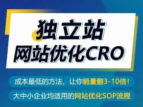 独立站网站优化CRO，成本最低的方法，让你销量翻3-10倍