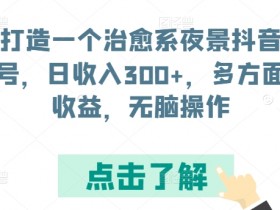 打造一个治愈系夜景抖音号，日收入300+，多方面收益，无脑操作【揭秘】