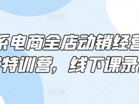 淘系电商全店动销经营模式特训营，线下课录音