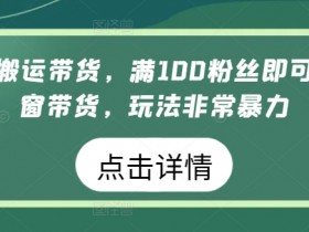 视频号搬运带货，满100粉丝即可开通橱窗带货，玩法非常暴力【揭秘】