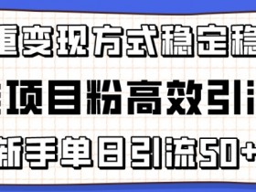 精准项目粉高效引流术，新手单日引流50+，多重变现方式稳定赚钱【揭秘】