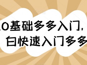 新人0基础多多入门，​纯小白快速入门多多