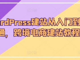 WordPress建站从入门到精通，跨境电商建站教程
