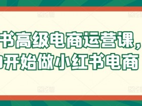 小红书高级电商运营课，从0开始做小红书电商