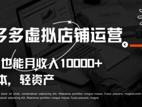 拼多多虚拟店铺运营小白也能月收入10000+【揭秘】